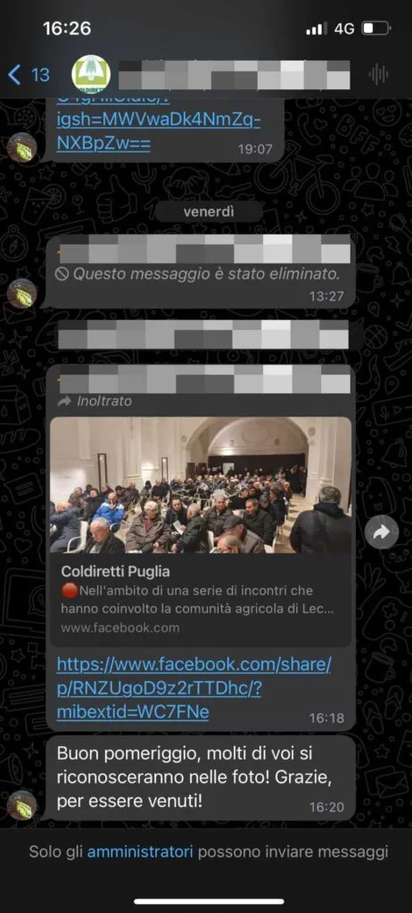 screenshot di una chat in un gruppo Whatsapp Business Silenziato